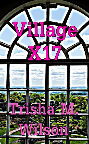 Village X17 - Trisha M. Wilson