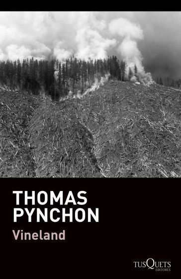 Vineland - Thomas Pynchon