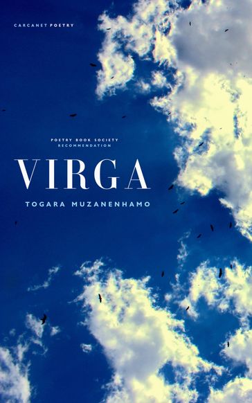 Virga - Togara Muzanenhamo