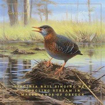 Virginia Rail Singing Near Gurgling Stream in Marshlands of Oregon - Greg Cetus