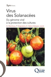 Virus des Solanacées