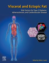 Visceral and Ectopic Fat