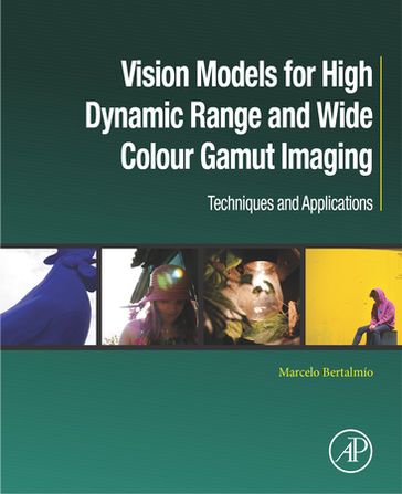 Vision Models for High Dynamic Range and Wide Colour Gamut Imaging - Marcelo Bertalmío