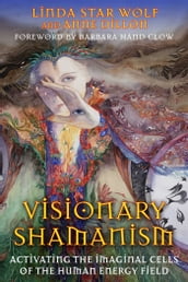 Visionary Shamanism