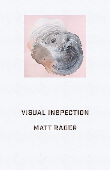 Visual Inspection - Matt Rader