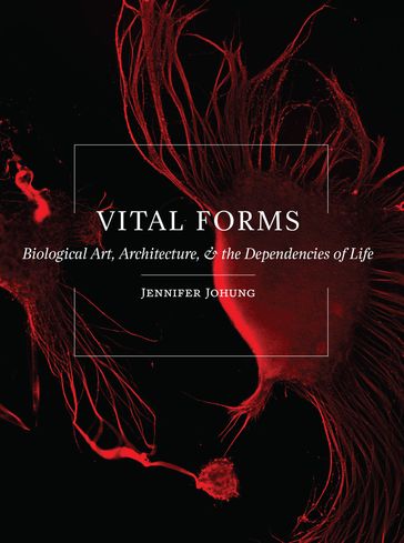 Vital Forms - Jennifer Johung