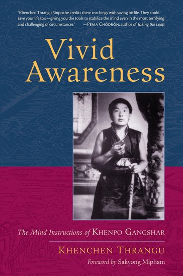 Vivid Awareness - Khenchen Thrangu