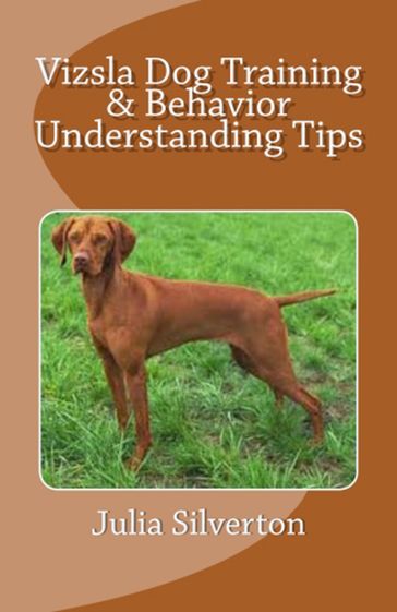 Vizsla Dog Training & Behavior Understanding Tips - Julia Silverton