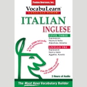 Vocabulearn: Italian / English Level 3