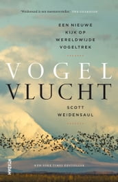 Vogelvlucht