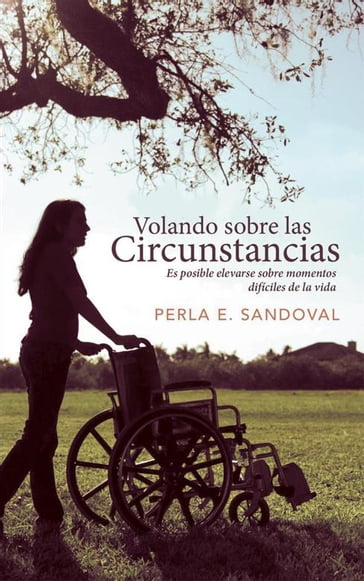 Volando Sobre Las Circunstancias - Perla E. Sandoval