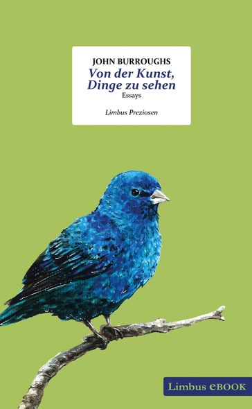 Von der Kunst, Dinge zu sehen - John Burroughs