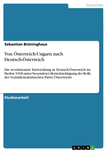 Von Österreich-Ungarn nach Deutsch-Österreich - Sebastian Bruninghaus