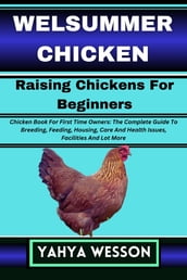 WELSUMMER CHICKEN Raising Chickens For Beginners
