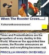 WHEN THE ROOSTER CROWS...