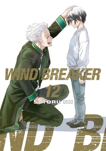 WIND BREAKER 12 - Satoru Nii