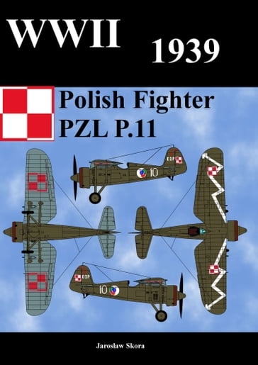 WWII 1939 Polish Fighter PZL P.11 - Jaroslaw Skora