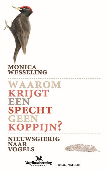 Waarom krijgt een specht geen koppijn - Monica Wesseling