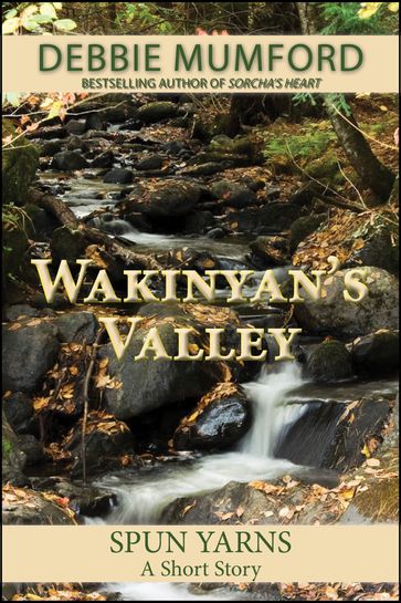 Wakinyan's Valley - Debbie Mumford
