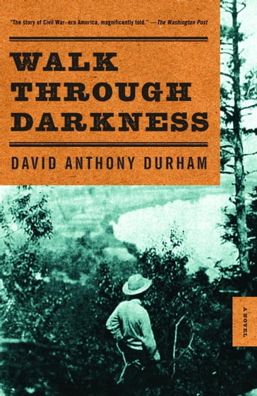Walk Through Darkness - David Anthony Durham