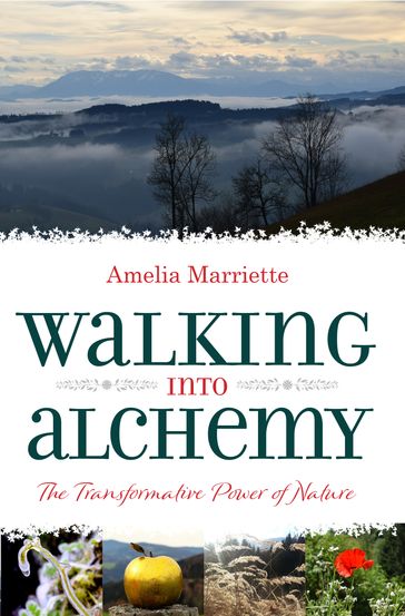 Walking Into Alchemy - Amelia Marriette