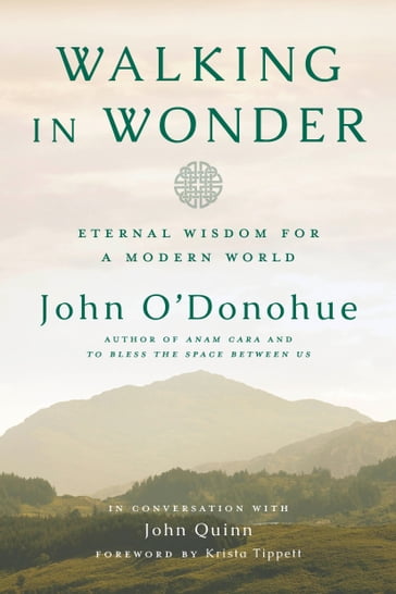 Walking in Wonder - John O