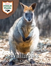 Wallabies