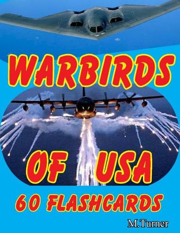 Warbirds of USA 60 Flashcards - Michael Turner