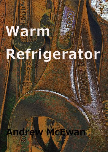 Warm Refrigerator - Andrew McEwan