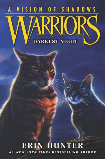 Warriors: A Vision of Shadows #4: Darkest Night - Erin Hunter