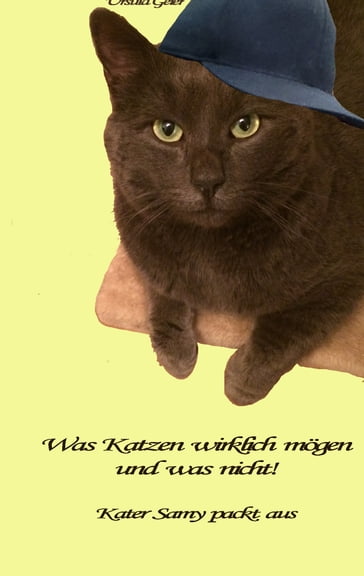 Was Katzen wirklich mögen und was nicht - Ursula Geier