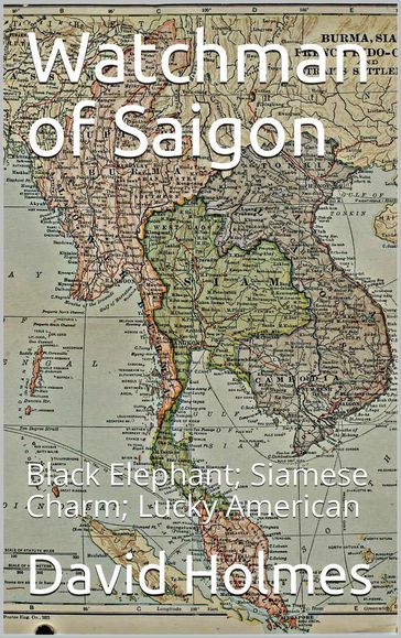 Watchman of Saigon - David Holmes