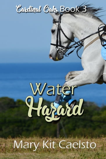 Water Hazard: An Equestrian Women's Lit Story - Mary Kit Caelsto