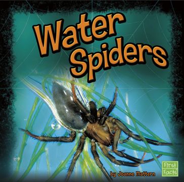 Water Spiders - Joanne Mattern