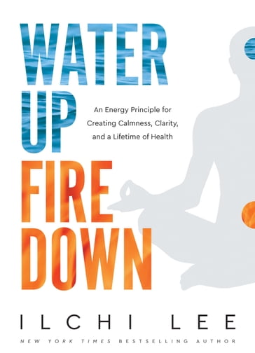 Water Up Fire Down - Lee Ilchi