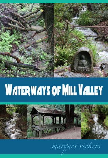 Waterways of Mill Valley - Marques Vickers