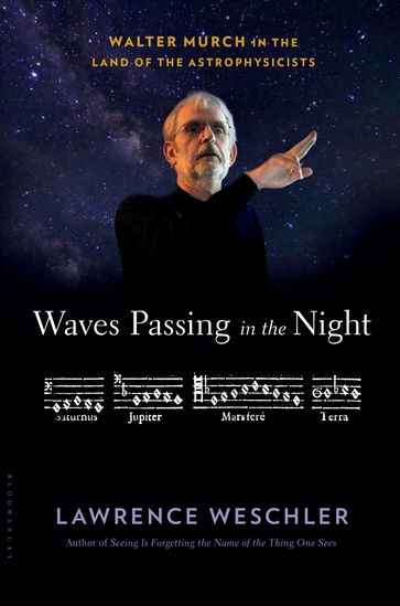 Waves Passing in the Night - Lawrence Weschler