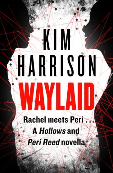 Waylaid - Harrison Kim