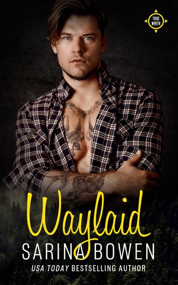 Waylaid - Sarina Bowen