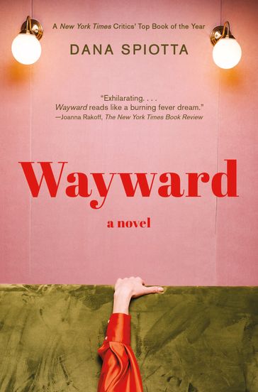 Wayward - Dana Spiotta