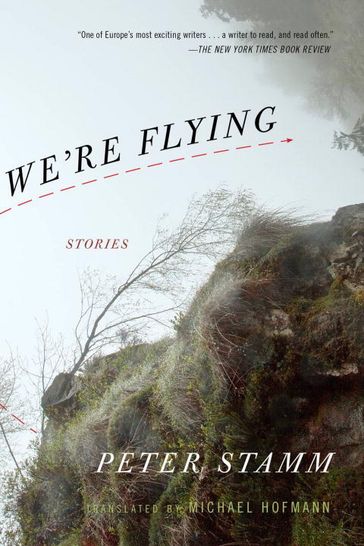 We're Flying - Peter Stamm