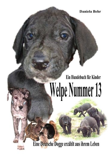 Welpe Nummer 13 Ein Hundekind erzählt aus seinem Leben Die Geschichte einer Deutschen Dogge - Daniela Behr