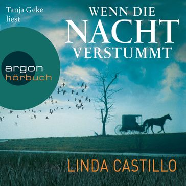 Wenn die Nacht verstummt - Kate Burkholder ermittelt, Band 3 (Gekürzte Lesung) - Linda Castillo