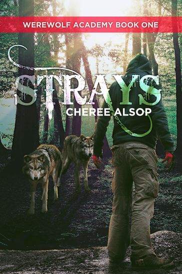 Werewolf Academy Book 1: Strays - Cheree Alsop