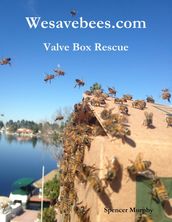 Wesavebees.com: Valve Box Rescue