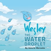 Wesley the Water Droplet