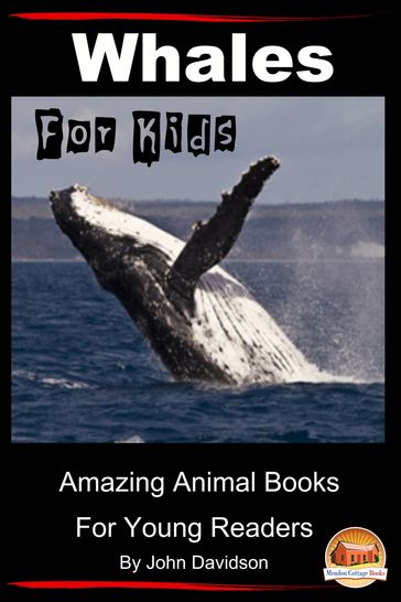 Whales For Kids - John Davidson