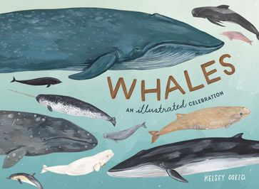 Whales - Kelsey Oseid