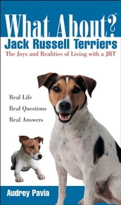 What About Jack Russell Terriers?