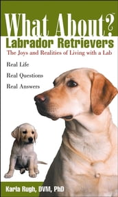 What About Labrador Retrievers?